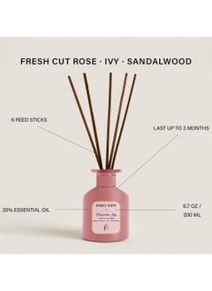 Rosewater Ivy Reed Oil Diffuser, 6.7 Fl Oz/200 ML, 6 Reed Sticks, Aromatherapy, Lasts Upto 3 Months, Fragrant Diffuser - pzsku/Z97098B4032F7490D1D07Z/45/_/1704969004/01a91532-8348-4619-b34e-afc7a56d0327