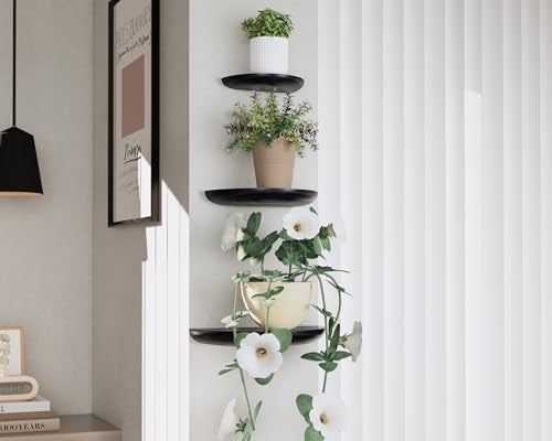 QsQueen Solid Wood Half Round Floating Wall Shelves | Elegant Floating Shelves, Elevate Your Space. Perfect for Living Rooms, Bathrooms, Bedrooms, Offices, Children's Rooms Black - Image 2