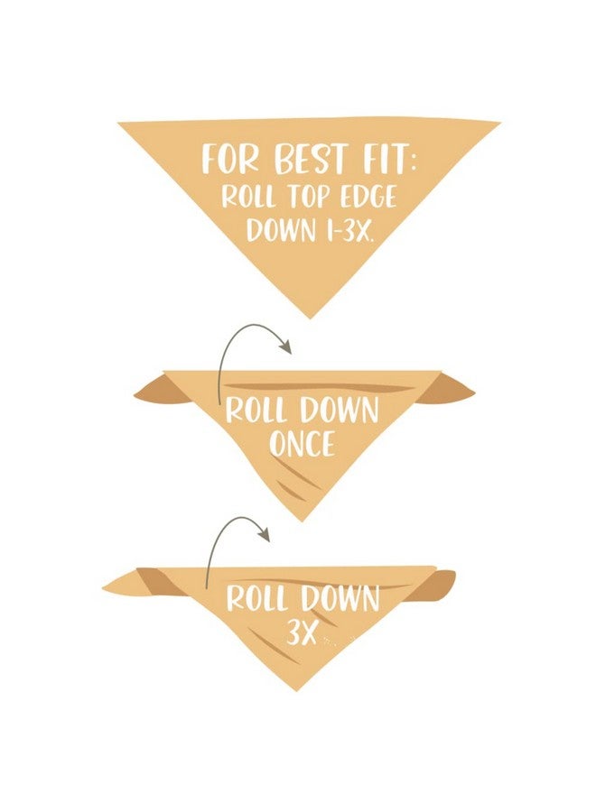 وشاح نصف عيد ميلاد للكلاب بعمر 6 أشهر، مناسب لحفلات يومية، بلون الشوفان الكريمي، طبيعي، بسيط، بسيط، محايد (كبير) - Image 5