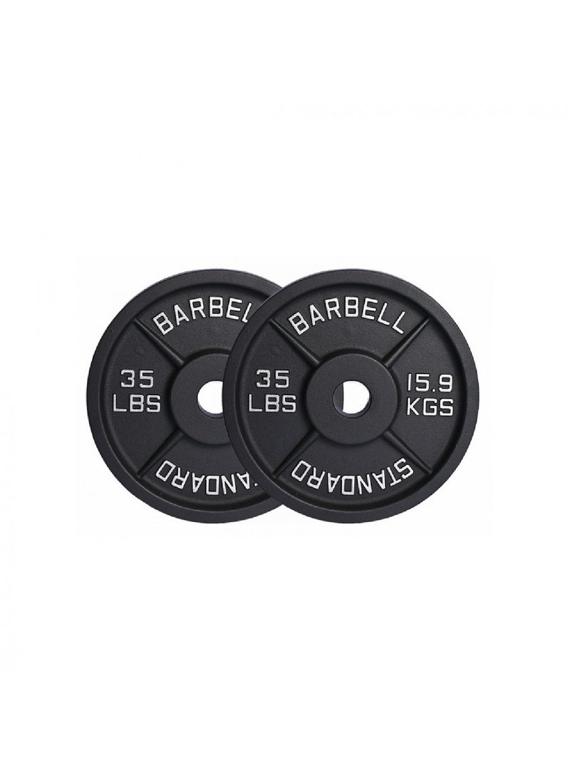 CHAMP KIT Cast Iron Weight Plate for Bodybuilding & Powerlifting | Anti-Slip Ridges Grip | Fits 2-inch Olympic Barbell - 35 LB (Set of 2) - Image 1