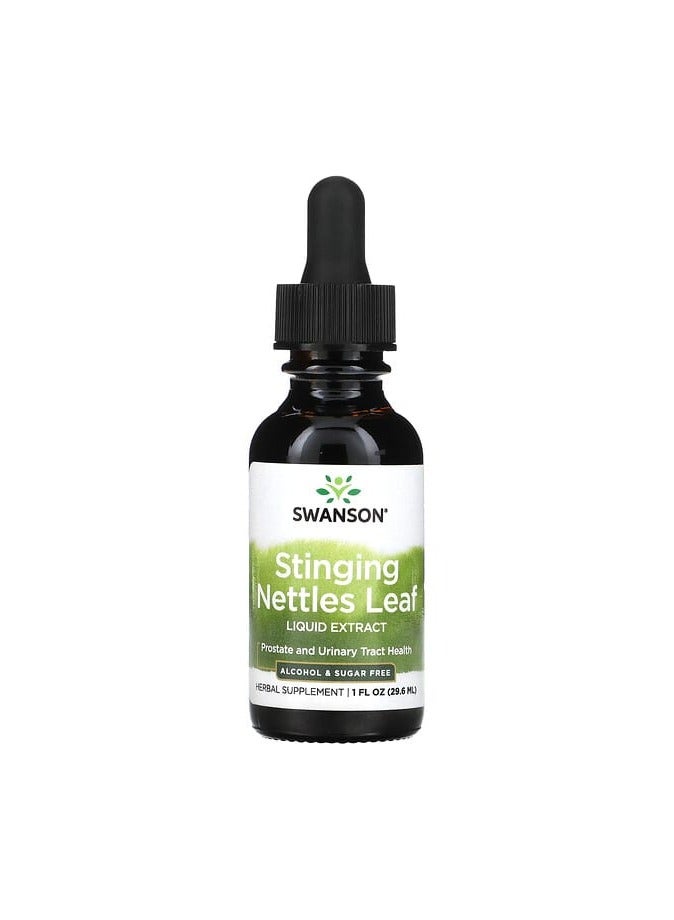 Stinging Nettle Leaf Liquid Extract Sugar Free, 1 fl oz (29.6 ml)