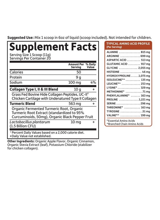 Garden of Life - Multisourced Protein Hydrolyzed Collagen Peptides Powder Supplements For Women Men Joints Mobility Apple Cinnamon Turmeric 20 Servings 7.76 Oz - Image 1