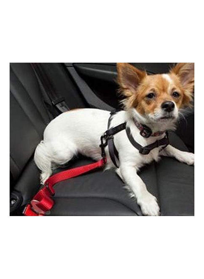 جولدن أروز حزام سيارة للحيوانات الأليفة - 482 جرام - Image 2