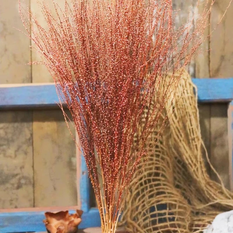 Bluejw Real Dried Snow Willow Grass for Home Decor, Natural Dried Plants for Christmas, Mother's Day, Valentine's Day & Easter Decorations - Image 2