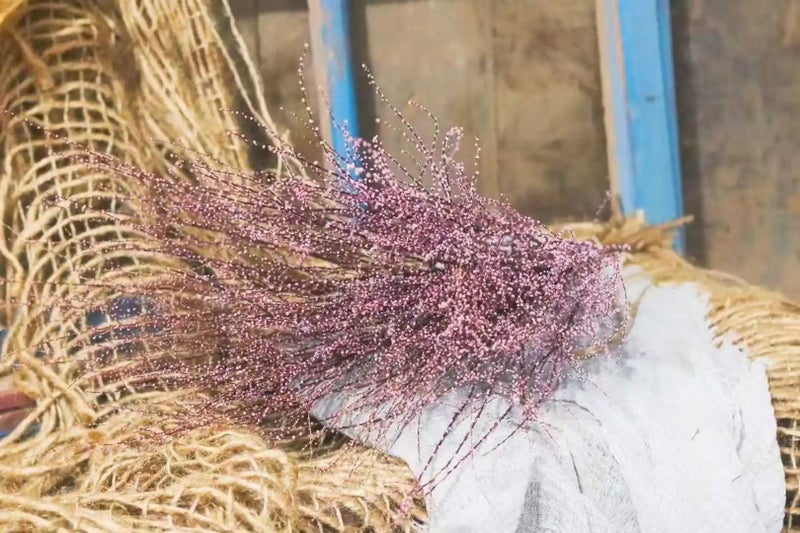 Bluejw Real Dried Snow Willow Grass for Home Decor, Natural Dried Plants for Christmas, Mother's Day, Valentine's Day & Easter Decorations - Image 4