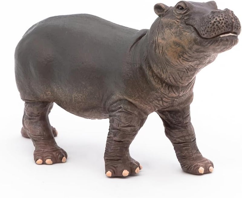 Papo HandPainted  Figurine Wild Animal Kingdom  Hippopotamus Calf 50052 Collectible  for Children  Suitable for Boys and Girls from 3 Years Old - Image 4