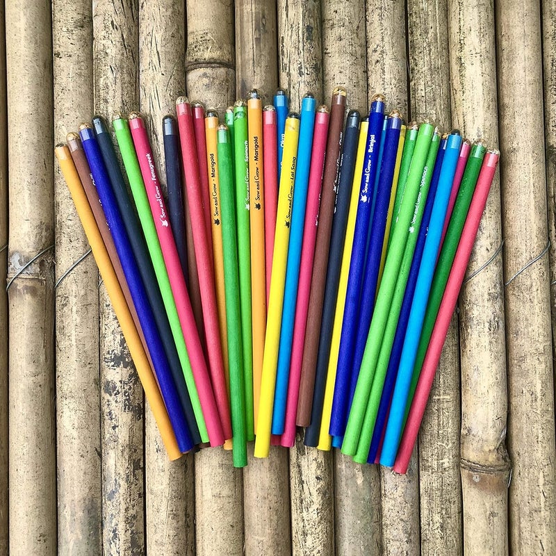 Sow and Grow Sow and Grow Box Of 50 Plantable Seed PencilsEco Friendly Gift PackJute Pouch Bulk PackagingGrow Plants From PencilsGreen  - Image 2