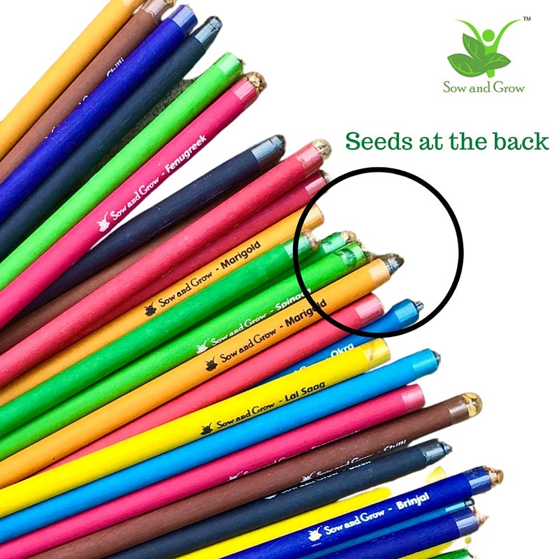 Sow and Grow Sow and Grow Box Of 50 Plantable Seed PencilsEco Friendly Gift PackJute Pouch Bulk PackagingGrow Plants From PencilsGreen  - Image 3