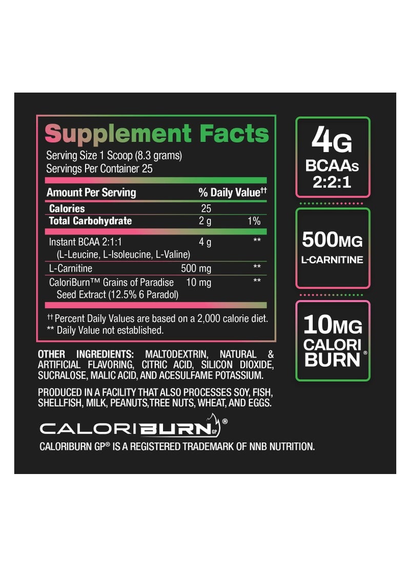 BPI SPORTS - BPI Best BCAA Shredded 25 Servings Watermelon - Image 1