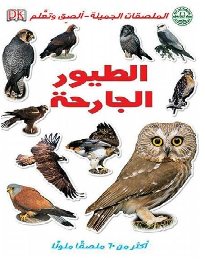 birds of prey 