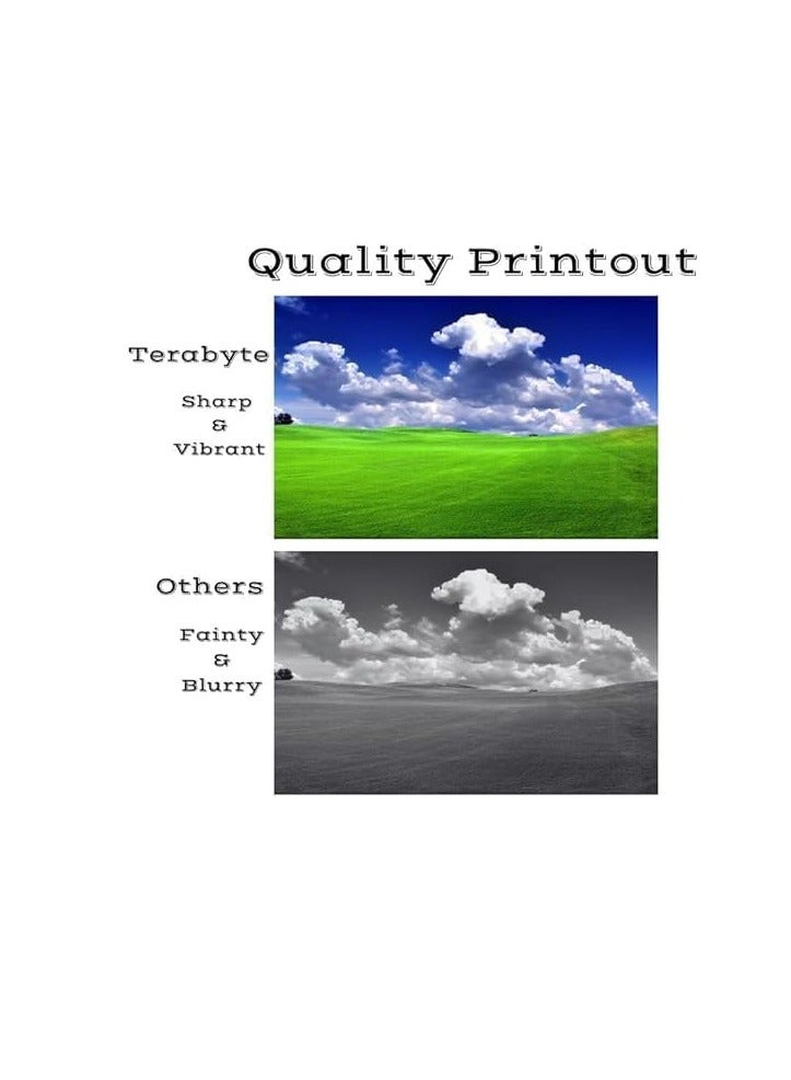 Terabyte 4-Pack Compatible 131A / 731 Toner Cartridge CF210A CF211A CF212A CF213A for LaserJet Pro 200 color M251nw M251n M276n M276nw Printers - Image 3