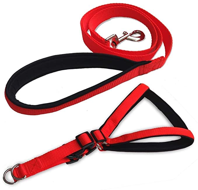 Combo 1.25 inch Dog Adjustable Chest Belt Padded Body Harness with Leash for All Breed Dogs and Puppies (Red) - X-Large