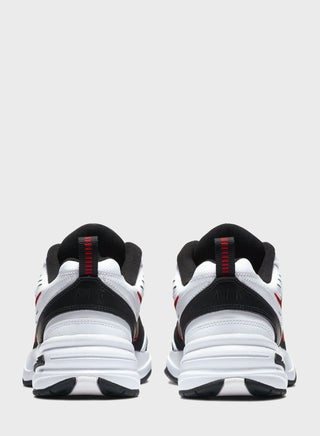 AIR MONARCH IV - view 4