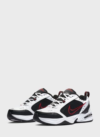 AIR MONARCH IV - view 3