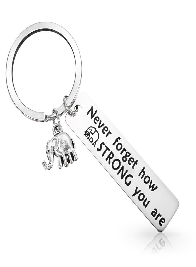 Ymapinc سلسلة مفاتيح على شكل فيل من Ymapinc، هدايا للنساء، لا تنسي أبدًا مدى قوتكِ، أفكار صداقة فضية، هدايا أخوية مع حكمة لحقيبة اليد، هدية عيد ميلاد أو عيد الميلاد - Image 1
