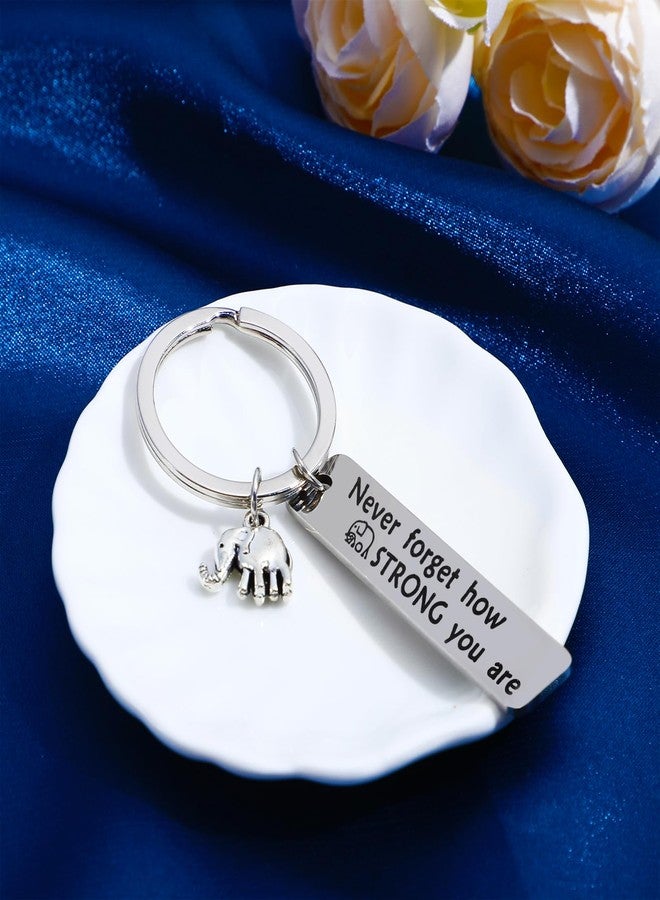 Ymapinc سلسلة مفاتيح على شكل فيل من Ymapinc، هدايا للنساء، لا تنسي أبدًا مدى قوتكِ، أفكار صداقة فضية، هدايا أخوية مع حكمة لحقيبة اليد، هدية عيد ميلاد أو عيد الميلاد - Image 5