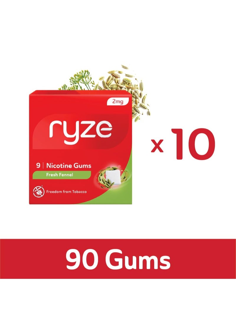 رايز علكة RYZE بنكهة النيكوتين، عبوة متنوعة 108 علكة - 6 نكهات مختلفة في علبة | جرب وقرر | تخلص من التدخين والتبغ | لطيفة على الحلق | خالية من السكر | تبييض الأسنان - Image 4