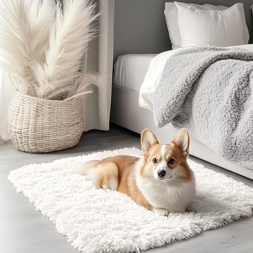 OLANLY 2x3 Machine Washable Small Bedside Rug Soft Fluffy Shaggy Entryway Throw Rugs for Bedroom Living Room Indoor Floor Carpet for Kids Girls and Boys Nursery Rooms Home Decor Aesthetic Ivory - Image 1