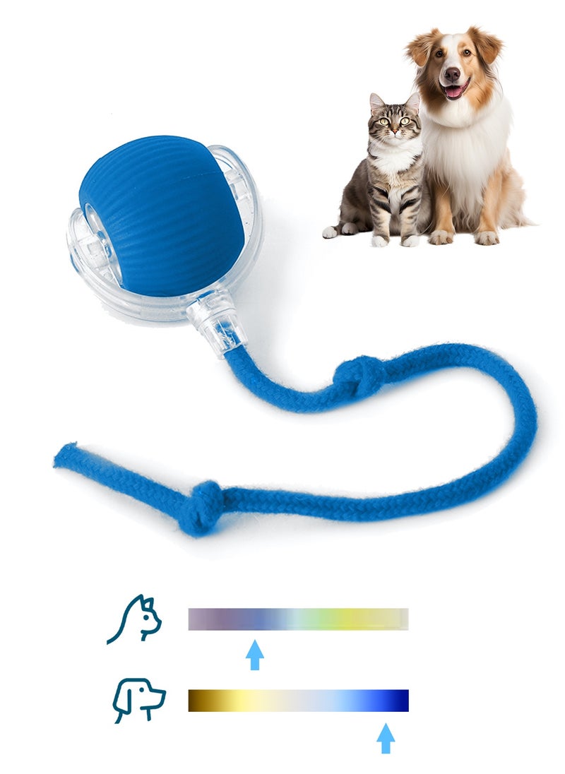 HEROCKX - Pet toy ball,Interactive Pet Toy Smart Automatic Rolling Pet Ball, Motion Activated Rolling Pet Toy Automatic 360° Rotating Roller Ball USB Rechargeable-Blue - Image 1