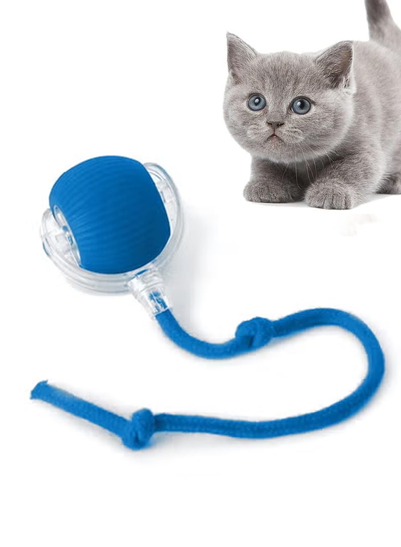 هيروكس لعبة كرة الحيوانات الأليفة التفاعلية، كرة ذكية دوارة 360 درجة، قابلة لإعادة الشحن عبر USB (أزرق) - Image 1