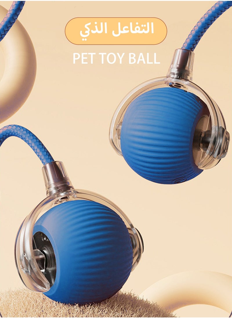 HEROCKX - Pet toy ball,Interactive Pet Toy Smart Automatic Rolling Pet Ball, Motion Activated Rolling Pet Toy Automatic 360° Rotating Roller Ball USB Rechargeable-Blue - Image 1