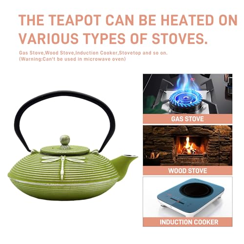 SECHUDO Cast Iron Teapot,SECHUDO Tea Kettle Coated with Enameled Interior for Loose Tea,Cast Iron Teapot with Stainless Steel Infuser for Stovetop Safe (27.1oz Flat Dragonfly Pattern) - Image 5