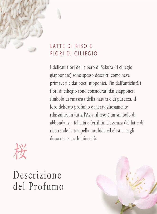 ريتوالز RITUALS Balsamo de Manos de The Ritual of Sakura، 70 مل - كون ليتشي دي أروز إي فلور دي سيريزو - بروبيداديس نيوتريتيفاس دي لا بيل - Image 5