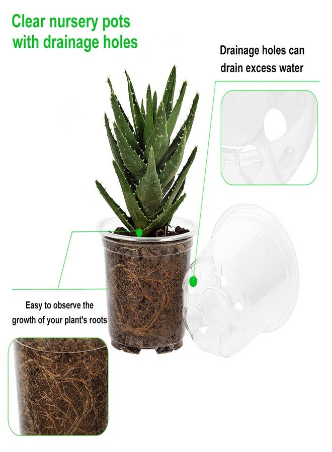 JERIA 30 Pack 5/6/7 Inch Clear Nursery Pots with Drainage Holes, Clear Plant Pot for Planting, Transparent Plastic Plant Pots,Durable Seed Starting Pot for Succulents - Image 4