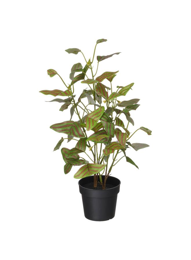 erorex Artificial Potted Plant, In/Outdoor Butterfly Plant, 9 Cm - Image 1