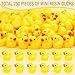 selizo 250PCS Mini Resin Ducks Tiny Plastic Ducks Little Ducks to Hide Small Resin Duck Charms Baby Ducks Bulk for Miniature Dollhouse Accessories Micro Garden Landscape - Image 4