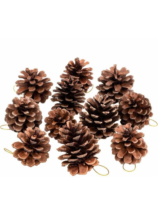 Whaline 25 Pcs Christmas Natural Pine Cones, Rustic Pinecones Bulk Ornaments with String for Crafting for Home Accent Decor, Fall Thanksgiving Tree Decoration (1.6-2.4 Inches) - Image 1
