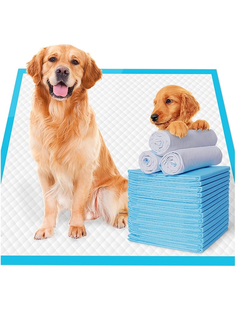 TYCOM Dog and Puppy Training Pads 40pcs, Disposable Dog Pee Pads, Ultra Absorbent & Leak-Proof Pet Underpads, Dry Quickly Pee Pad for Dog Cats Rabbits or Other House Training Pets 60*60 cm.  - Image 1
