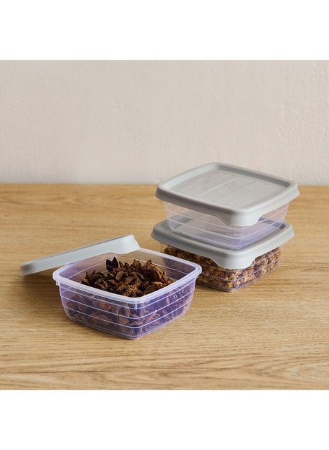 Spectra 3-Piece Food Storage Set 300 ml