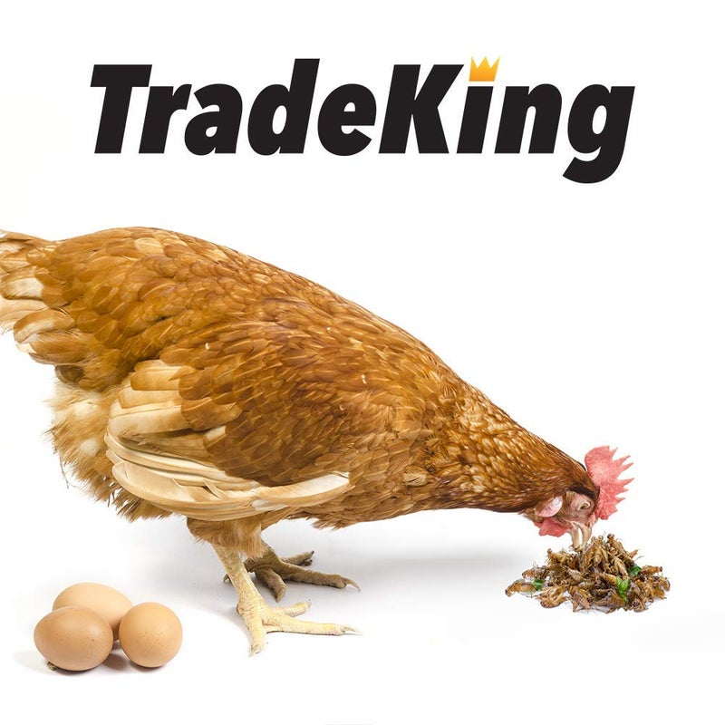 TradeKing Natural Dried Crickets, Food for Bearded Dragons, Wild Birds, Chicken, Fish, & Reptiles (8 oz Resealable Bag) Veterinary Certified - Image 2