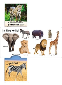 Animals (Slide & Surprise!): Pull the tabs for a fun animal surprise!  - Image 1