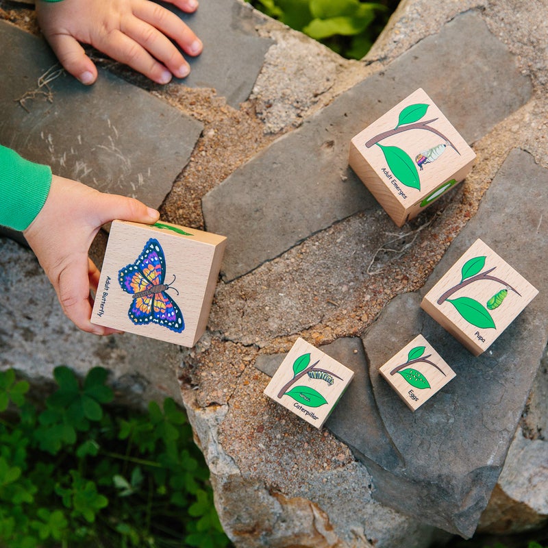 THE FRECKLED FROG Life Cycle Wooden Blocks - Set of 5 - Ages 12m+ - Science Toys for Toddlers - Explore 5 Stages of the Moth  Butterfly  Chicken  Frog - Image 2