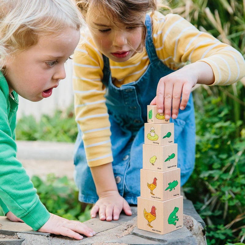 THE FRECKLED FROG Life Cycle Wooden Blocks - Set of 5 - Ages 12m+ - Science Toys for Toddlers - Explore 5 Stages of the Moth  Butterfly  Chicken  Frog - Image 3