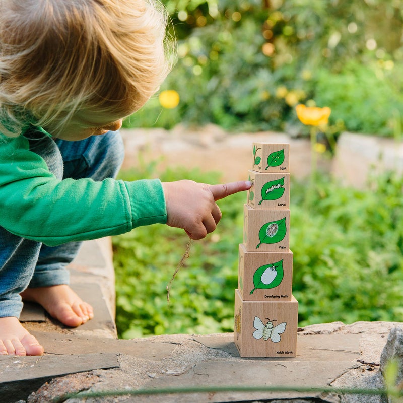 THE FRECKLED FROG Life Cycle Wooden Blocks - Set of 5 - Ages 12m+ - Science Toys for Toddlers - Explore 5 Stages of the Moth  Butterfly  Chicken  Frog - Image 5