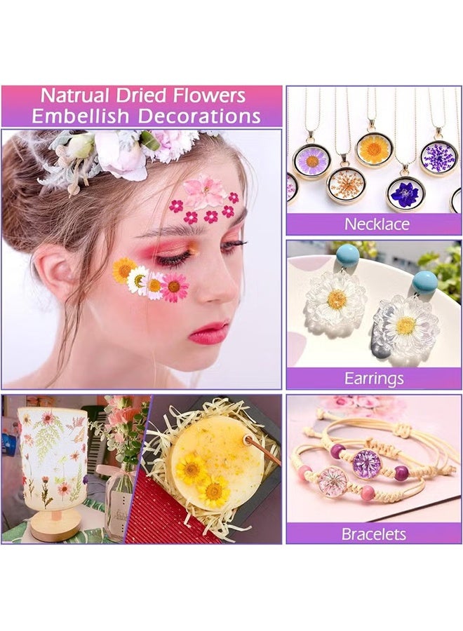 YJ 35Pcs Dried Pressed Flowers for Resin, Real Pressed Flowers Dry Leaves Bulk Natural Herbs Kit for Scrapbooking DIY Art Crafts, Epoxy Resin Jewelry Molds, Candle, Soap Making, Nails Décor - Image 3