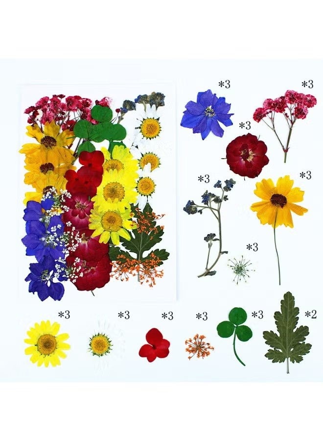 YJ 35Pcs Dried Pressed Flowers for Resin, Real Pressed Flowers Dry Leaves Bulk Natural Herbs Kit for Scrapbooking DIY Art Crafts, Epoxy Resin Jewelry Molds, Candle, Soap Making, Nails Décor - Image 1