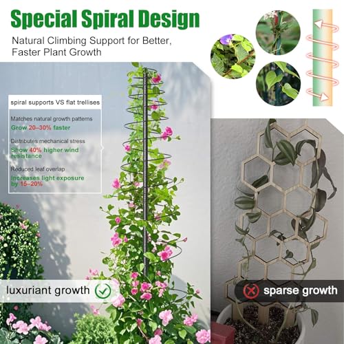 VRIEZOP Spiral Frame Trellis for Climbing Plants Outdoor Indoor - 44" Adjustable Heavy Duty Metal Garden Plant Support with Anti-Wobble Screws,for Pole Beans,Tomato, Sweet Pea,Clematis,Potted Plants,Vine - Image 3