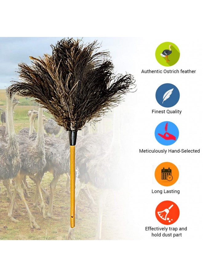 Dusters Killer Ostrich Feather Dusters MB03, 28" L, Large - Image 4