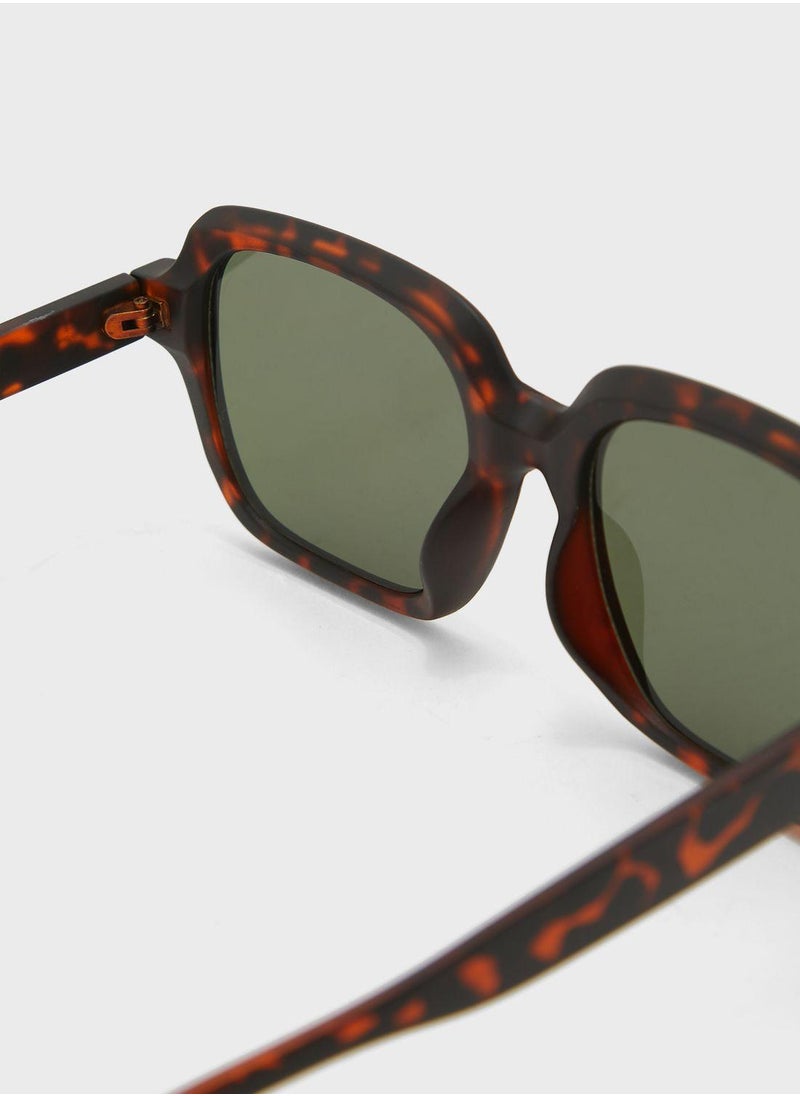 CHPO Jojo Sunglasses  - Image 3