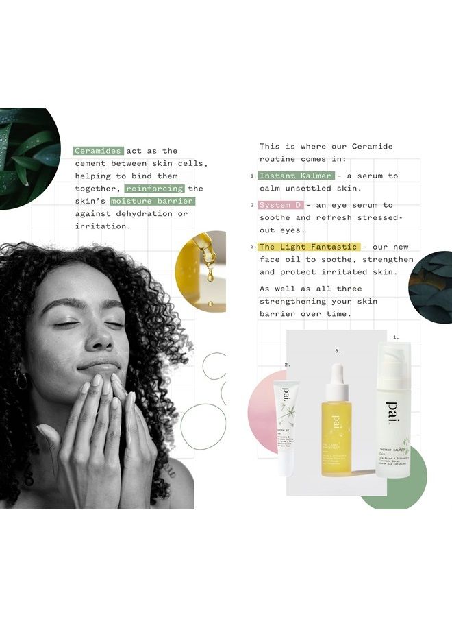 Pai Skincare - Organic Instant Kalmer Sea Aster + Schisandra Ceramide Serum | Natural, Vegan, Sensitive Skincare (1 fl oz | 30 mL) - Image 2