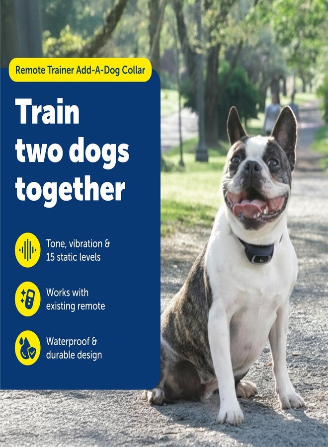 بيت سيف طوق تدريب عن بعد PetSafe Add-A-Dog - مثالي للكلاب الصغيرة والمتوسطة والكبيرة - اختر من بين النغمة أو الاهتزاز أو 15 مستوى من التحفيز الساكن - مقاوم للماء ومتين - قابل لإعادة الشحن - Image 2