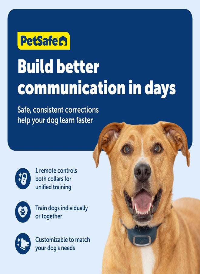 بيت سيف طوق تدريب عن بعد PetSafe Add-A-Dog - مثالي للكلاب الصغيرة والمتوسطة والكبيرة - اختر من بين النغمة أو الاهتزاز أو 15 مستوى من التحفيز الساكن - مقاوم للماء ومتين - قابل لإعادة الشحن - Image 4