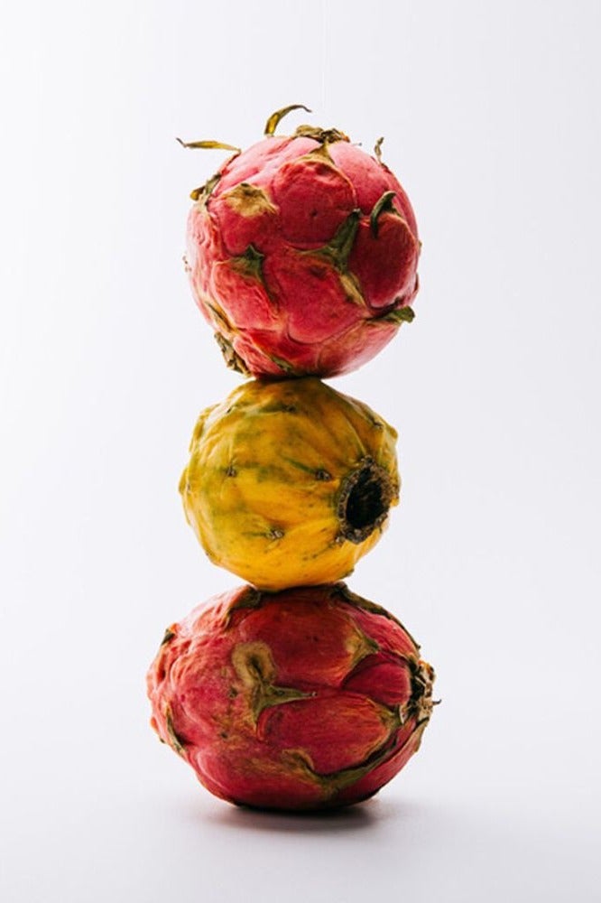 Loewe Solo Ella Eau de Toilette for Women 100ml - Image 3