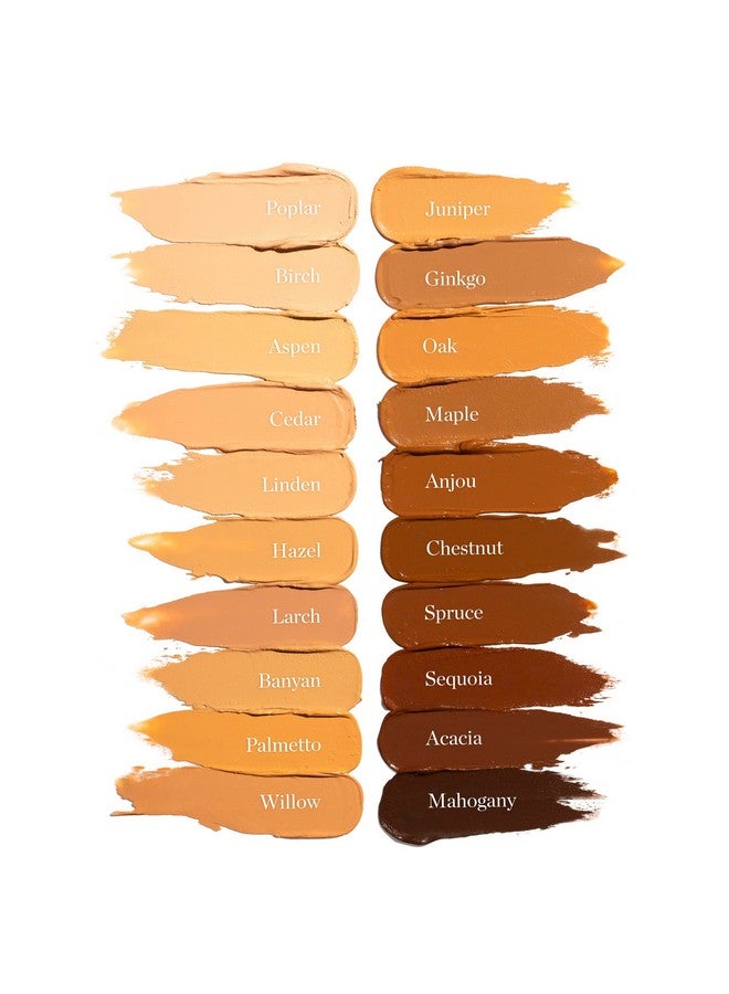 أوجي كريم أساس Ogee Sculpted Complexion Stick (Cedar 1.20C - فاتح، درجات اللون الوردي-البيج) مكياج أساس بتغطية كاملة - توازن فوري وبشرة موحدة اللون - 70% مكونات عضوية - Image 5