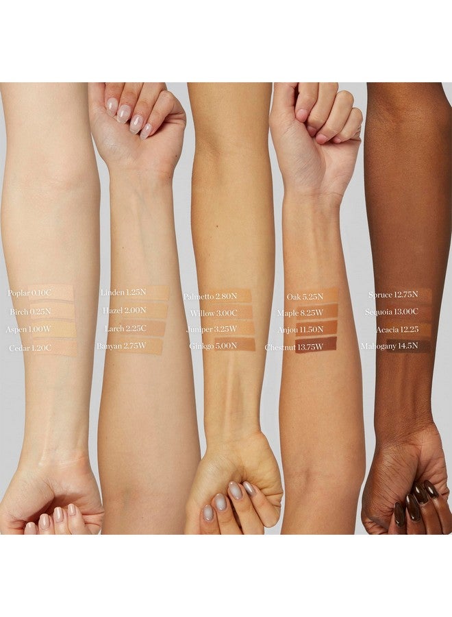 أوجي كريم أساس Ogee Sculpted Complexion Stick (Cedar 1.20C - فاتح، درجات اللون الوردي-البيج) مكياج أساس بتغطية كاملة - توازن فوري وبشرة موحدة اللون - 70% مكونات عضوية - Image 4