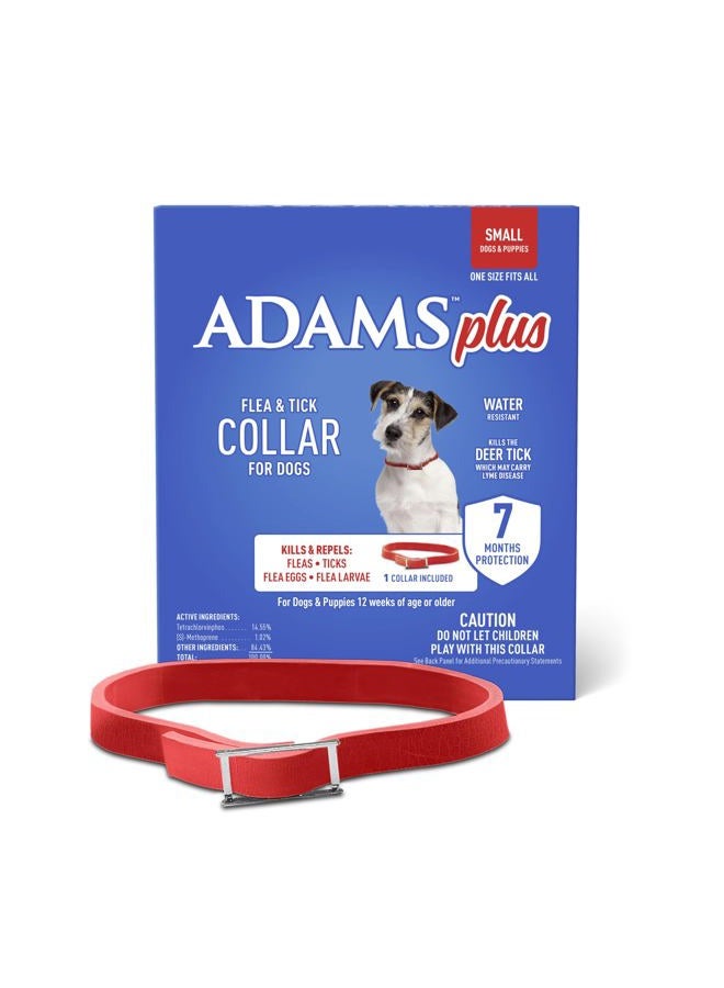 ADAMS Plus Flea & Tick Collar for Dogs, Small - Image 1